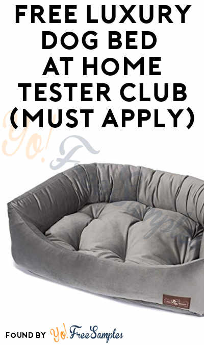 FREE Luxury Dog Bed At Home Tester Club (Must Apply)