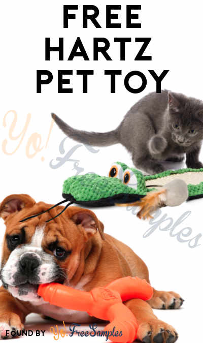 FREE Hartz Pet Toy