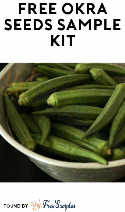 FREE Okra Seeds Sample Kit