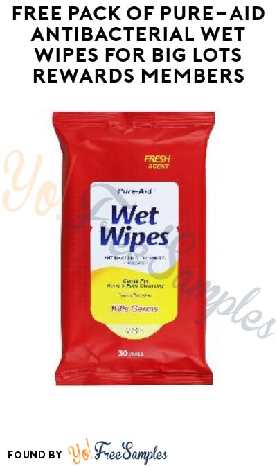 FREE Pack of Pure-Aid Antibacterial Wet Wipes for Big Lots Rewards Members