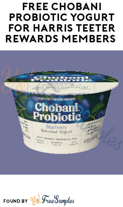 FREE Chobani Probiotic Yogurt for Harris Teeter Rewards Members - Yo! Free Samples