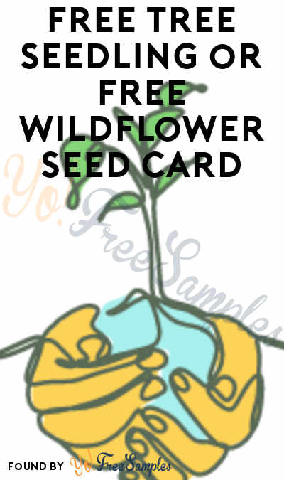 FREE Tree Seedling or Free Wildflower Seed Card