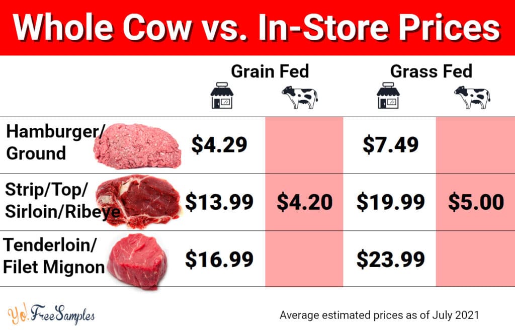 Buying a Cow: Why, Where, How and Is It Worth It? - Yo! Free Samples