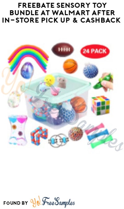 FREEBATE Sensory Toy Bundle at Walmart After In-Store Pick Up & Cashback (New TopCashBack Members Only)