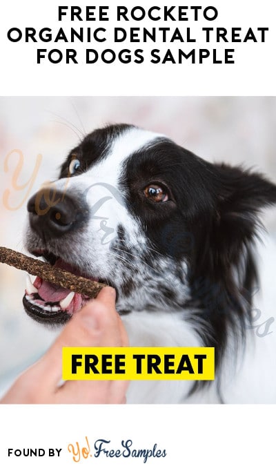 LIKELY FAKE: FREE Rocketo Organic Dental Treat for Dogs Sample