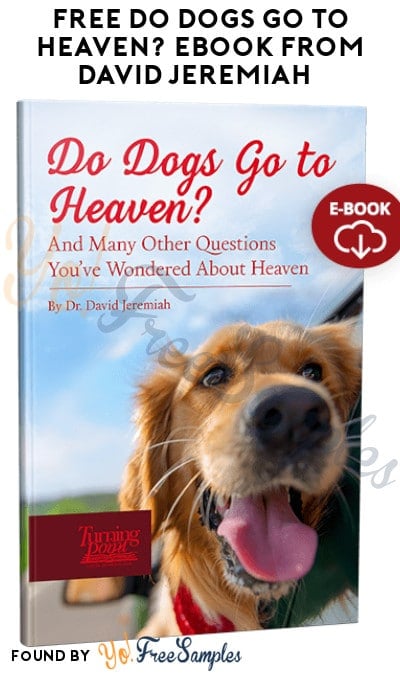FREE “Do Dogs Go to Heaven?” eBook from David Jeremiah  