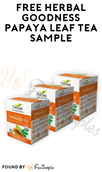 FREE Herbal Goodness Papaya Leaf Tea Sample