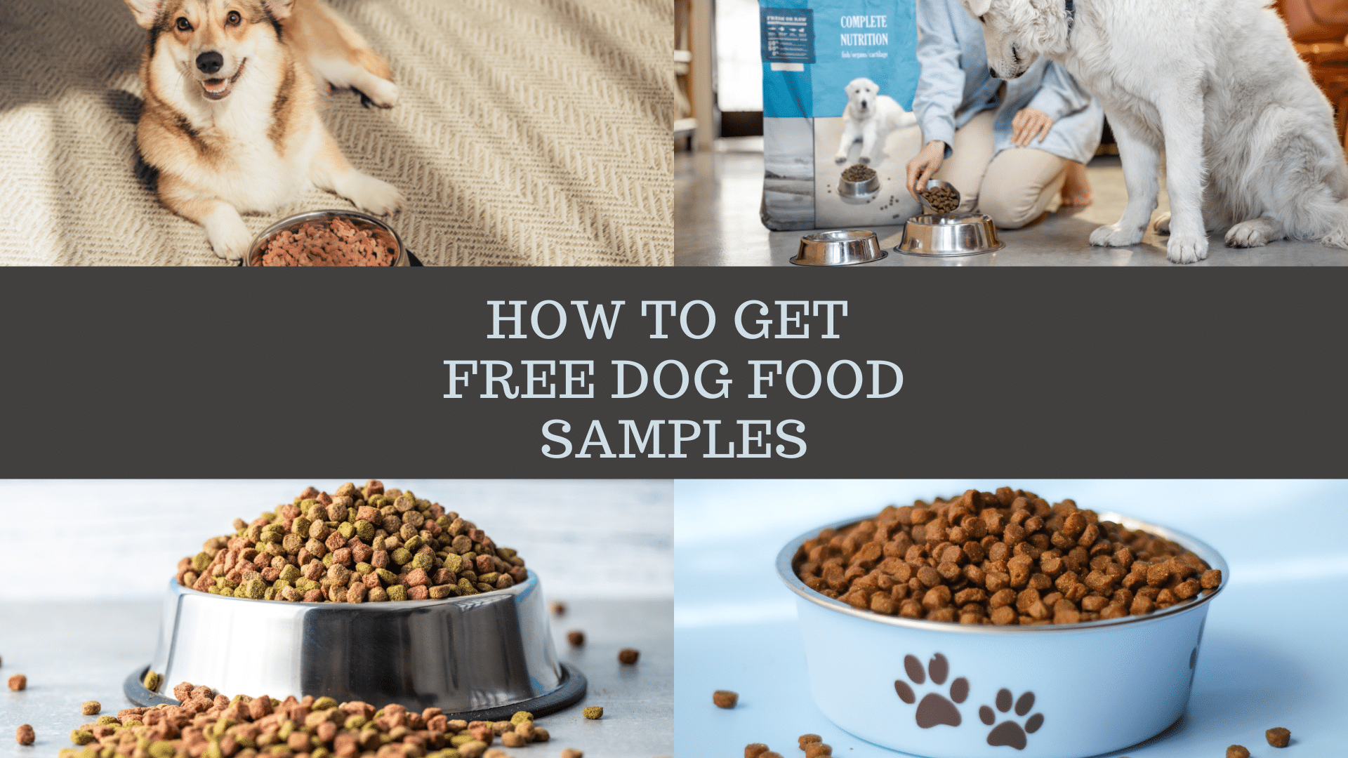 How To Get Free Dog Food Samples