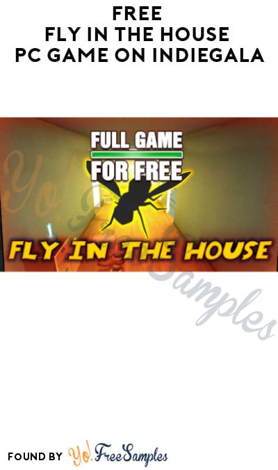 FREE Fly In The House PC Game on Indiegala (Account Required)