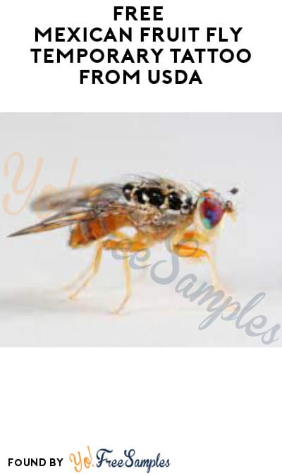 FREE Mexican Fruit Fly Temporary Tattoo from USDA