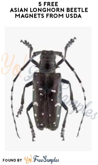 5 FREE Asian Longhorn Beetle Magnets from USDA (Code Required)