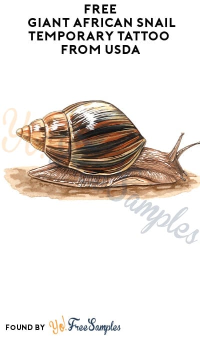 FREE Giant African Snail Temporary Tattoo from USDA