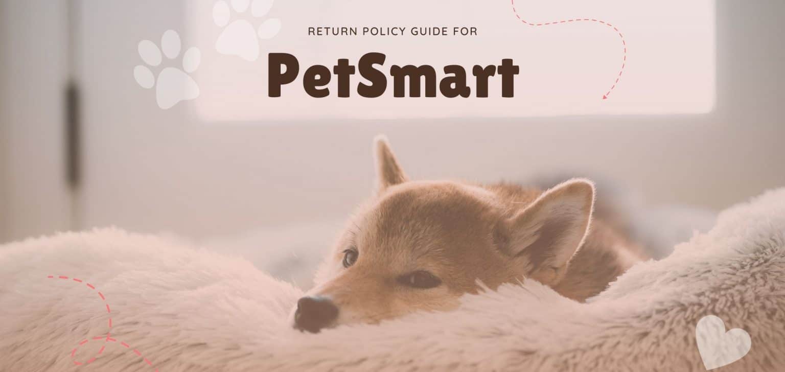 PetSmart Return Policy Guide