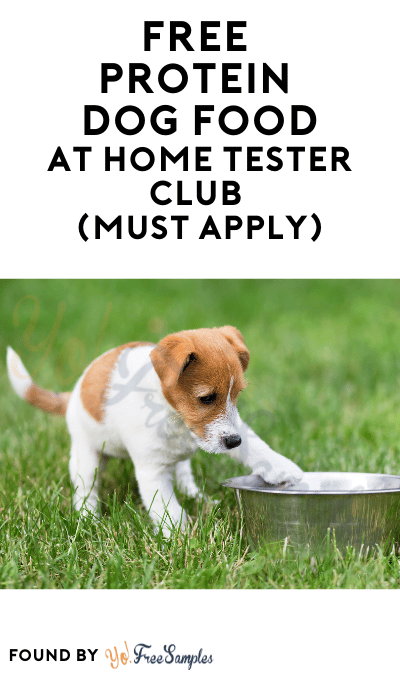 FREE Protein Dog Food At Home Tester Club (Must Apply)