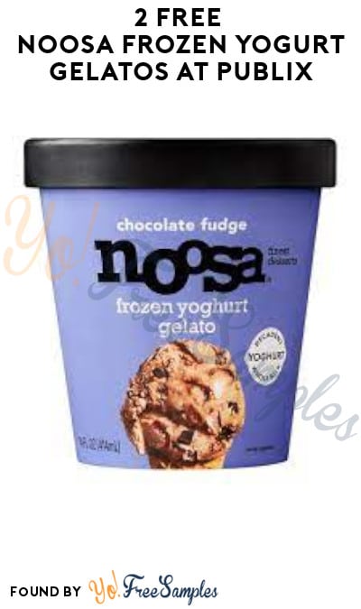 2 FREE Noosa Frozen Yogurt Gelatos at Publix (Rebate, Coupon & Ibotta Required)