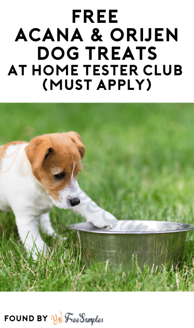 FREE Acana & Orijen Dog Treats At Home Tester Club (Must Apply)