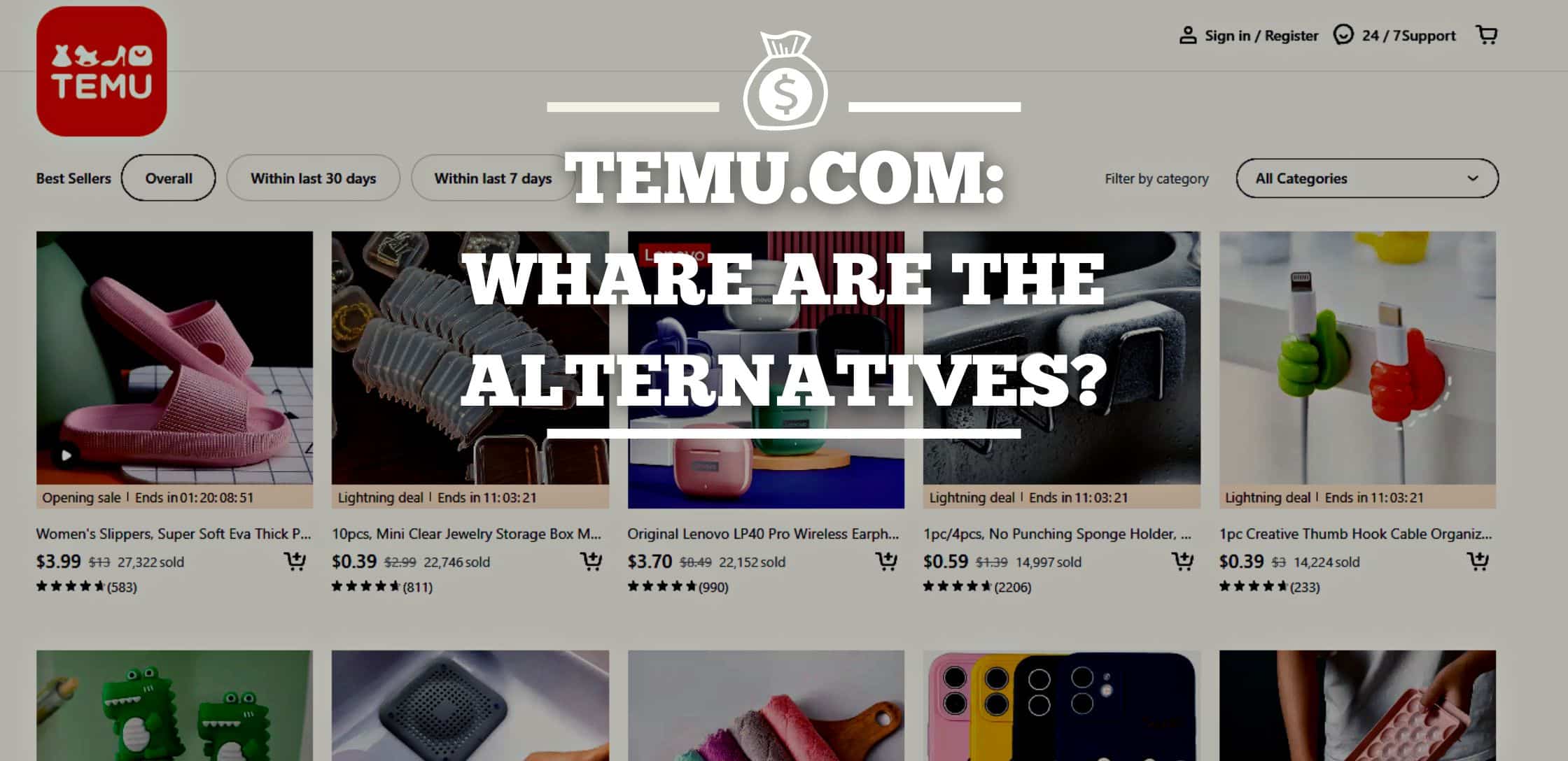 Temu: Is the price too good to be true?