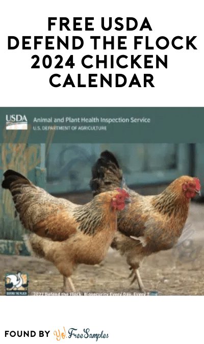 FREE USDA Defend The Flock 2024 Chicken Calendar