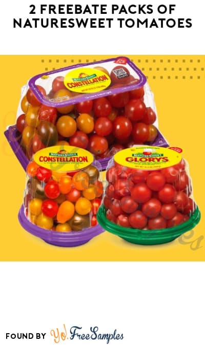 2 FREEBATE Packs Of NatureSweet Tomatoes Mail In Rebate Required 