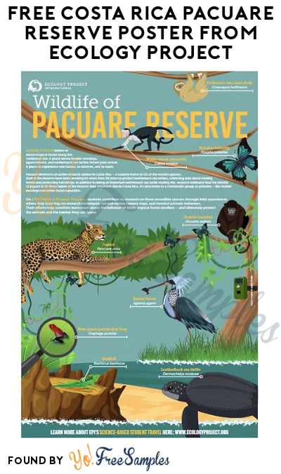 FREE Costa Rica Pacuare Reserve Poster from Ecology Project (School’s/Organizations Only)