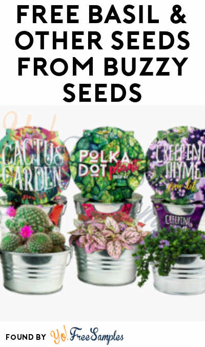 FREE Basil & Other Seeds From Buzzy Seeds