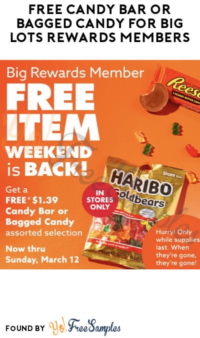 FREE Candy Bar or Bagged Candy for Big Lots Rewards Members