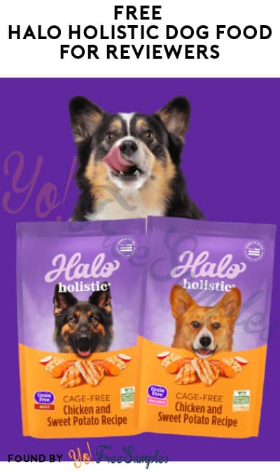 FREE Halo Holistic Dog Food for Reviewers (Must Apply)
