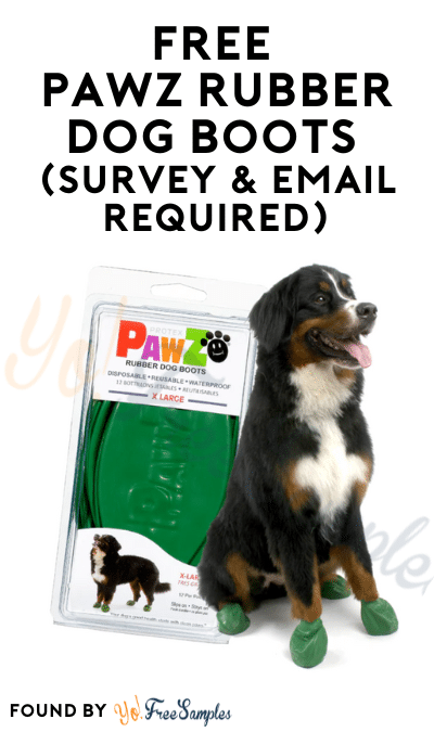 FREE Pawz Rubber Dog Boots (Survey & Email Required)