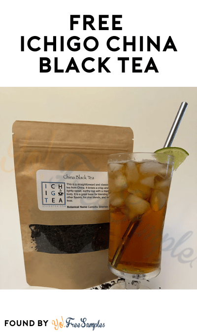 FREE Ichigo China Black Tea