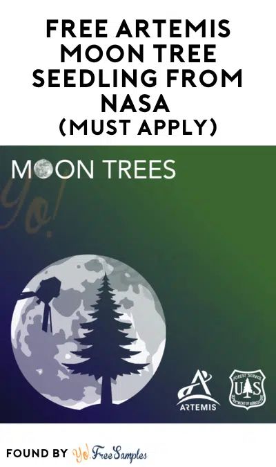 FREE Artemis Moon Tree Seedling from NASA (Must Apply)