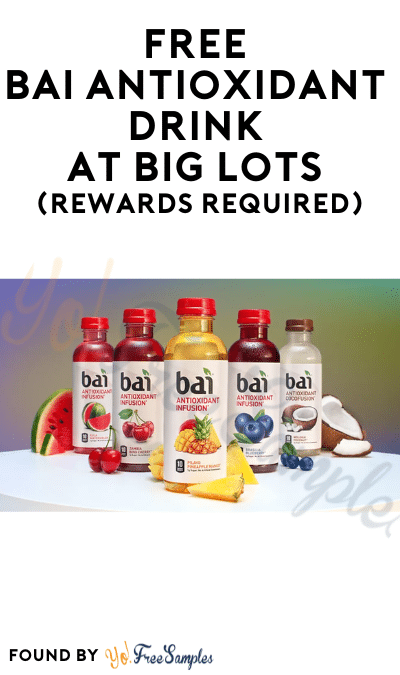 FREE Bai Antioxidant Infusion Drink at Big Lots (Rewards Required)