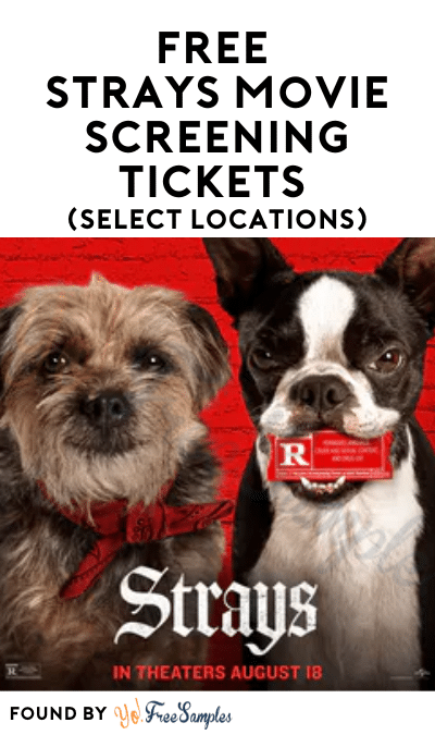 TODAY ONLY: FREE Strays Movie Screening Tickets (Select Locations)