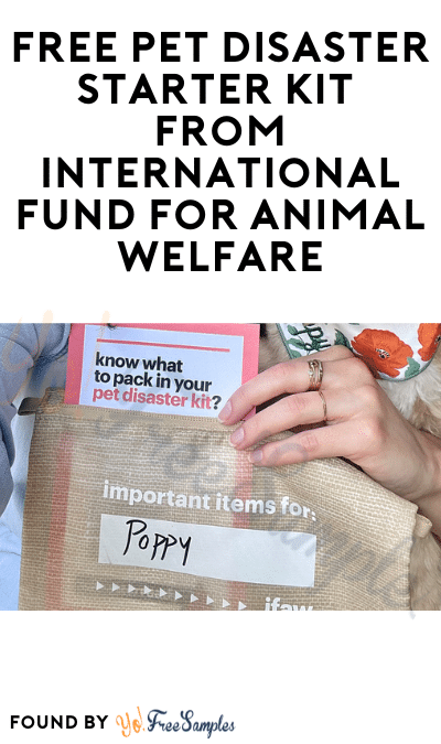 FREE Pet Disaster Starter Kit from International Fund for Animal Welfare