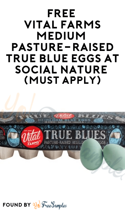 FREE Vital Farms Medium Pasture-Raised True Blue Eggs At Social Nature (Must Apply)