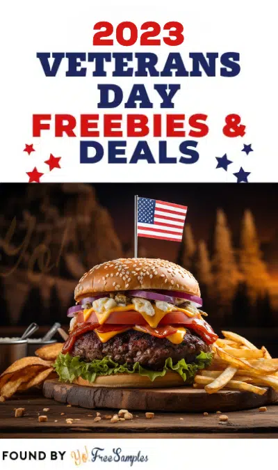 All The Veterans Day 2023 Freebies & Deals