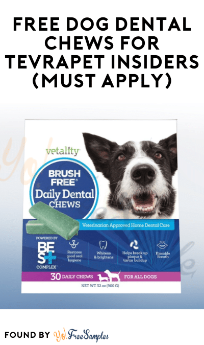 FREE Dog Dental Chews for TevraPet Insiders (Must Apply)