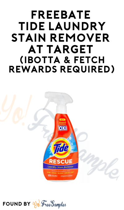 FREEBATE Tide Laundry Stain Remover at Target (Ibotta & Fetch Rewards Required)