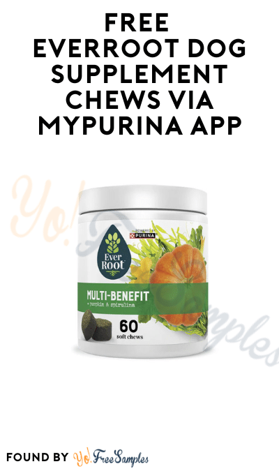 FREE EverRoot Dog Supplement Chews via myPurina App