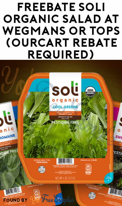 FREEBATE Soli Organic Salad at Wegmans or Tops (Ourcart Rebate Required)