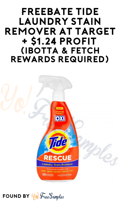 FREEBATE Tide Laundry Stain Remover at Target + $1.24 Profit (Ibotta & Fetch Rewards Required)
