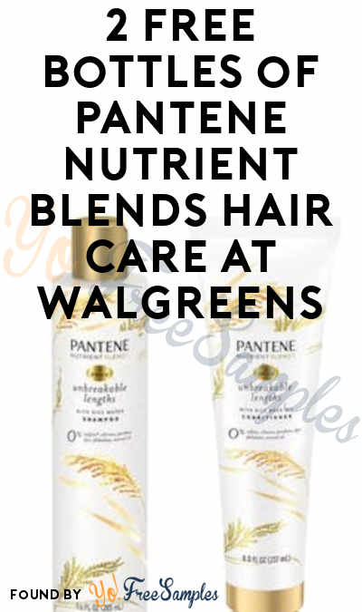 FREE Pantene Nutrient Blends Hair Care at Walgreens (Ibotta Required)