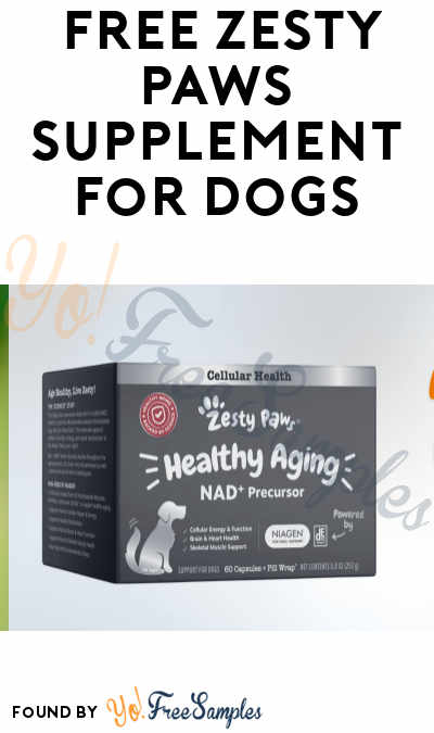 FREE Zesty Paws Dog Supplement for Product Testers (Must Apply)