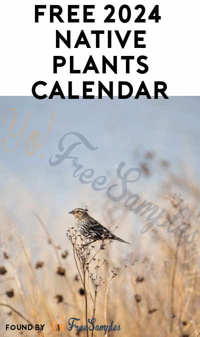 FREE 2024 Chicago Native Plants Calendar (Email Required)