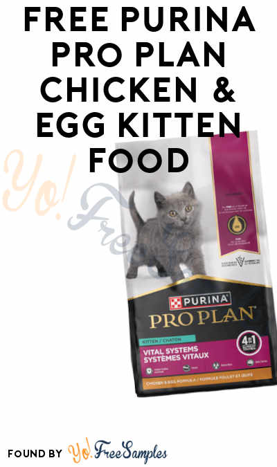 Possible FREE Purina Pro Plan Chicken & Egg Dry Kitten Food (Fur Buddies Account Required)