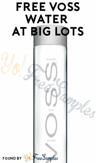 FREE Voss Water at Big Lots for Rewards Members