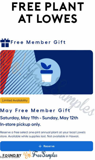 FREE One-Pint Annual Plant at Lowe’s (MyLowe’s Rewards Required)