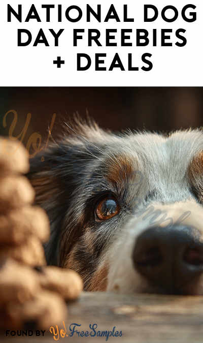 National Dog Day Deals & Freebies 2025